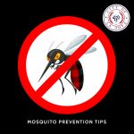 Mosquito Prevention Tips