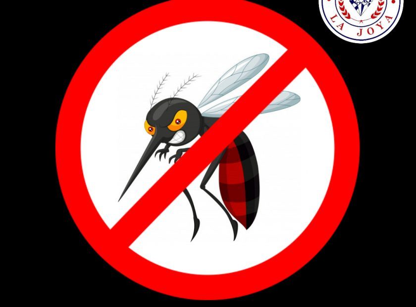 Copy of World Mosquito Day Sign Template – Made with PosterMyWall